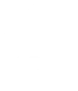 Logo de PICSO